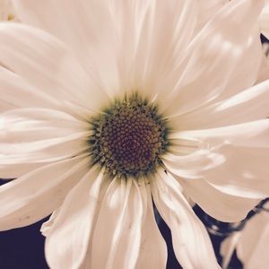 Meet your Posher, Annemarie